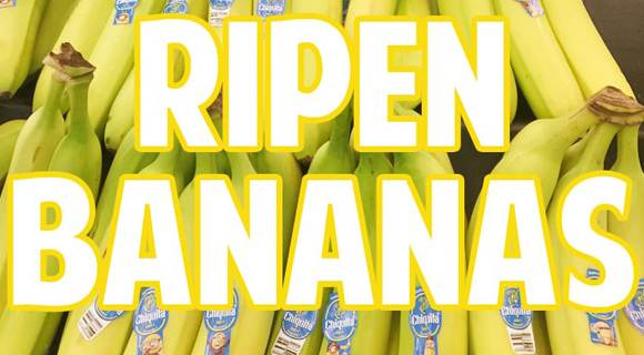 Eden Solutions for Banana Ripening